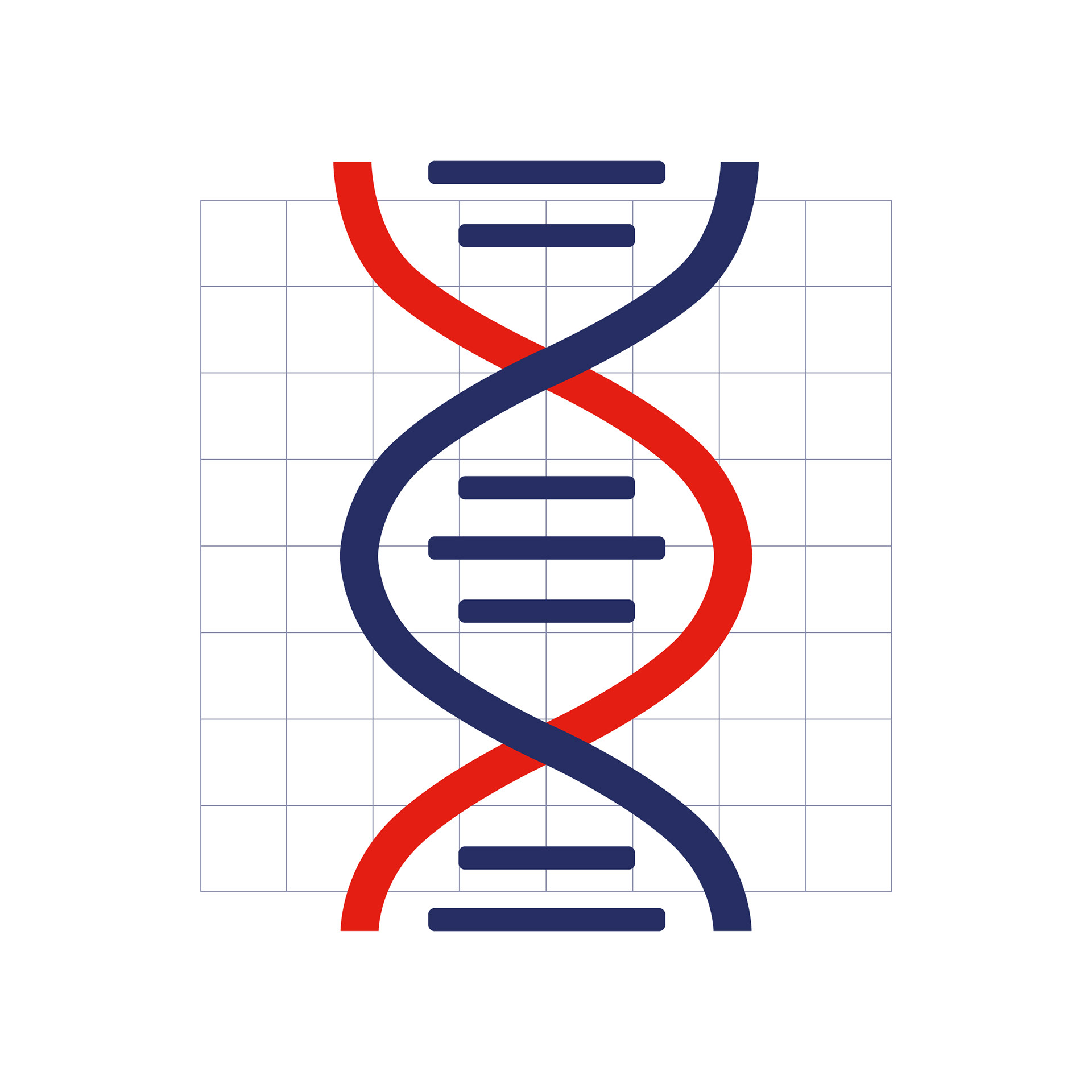 Accélérer - Design ADN